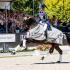 FEI European Dressage Championships
